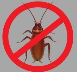 cockroaches | green power pest control