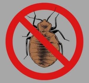 insect | green power pest control