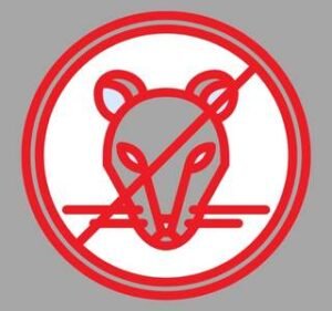 mouse | green power pest control